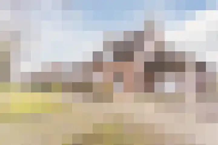 Denestraat 31 Reusel thumbnail 56