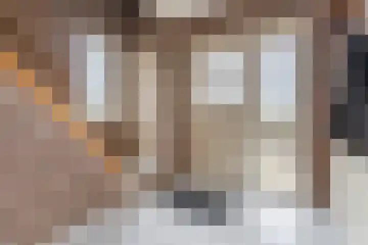 Denestraat 31 Reusel thumbnail 6