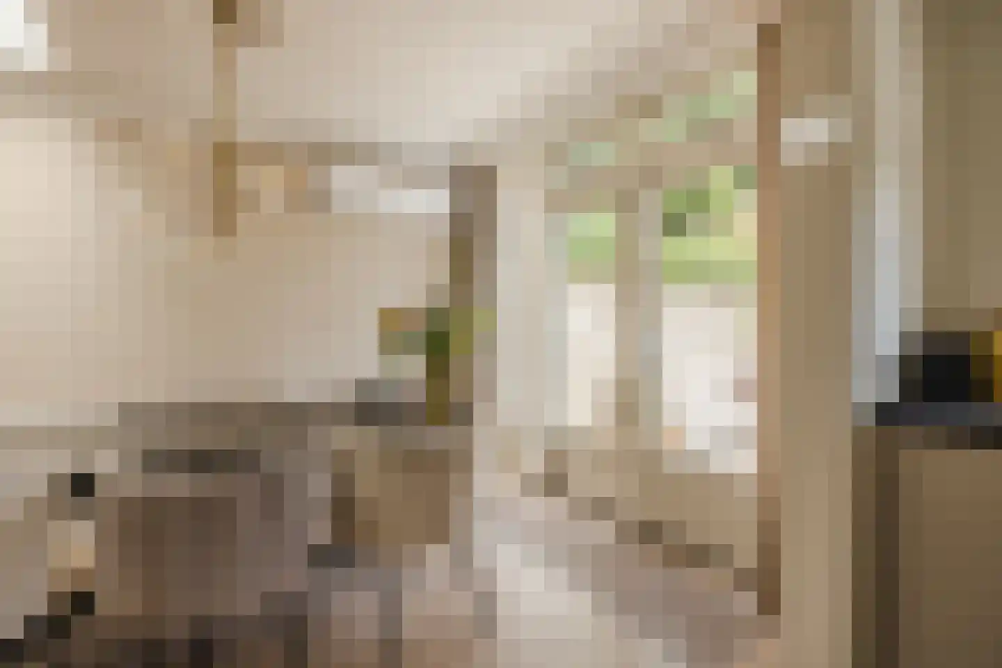 Denethor 16 Geldrop thumbnail 16