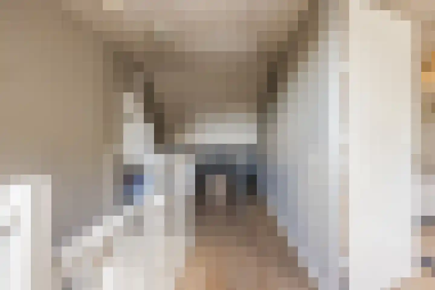 Denethor 16 Geldrop thumbnail 42