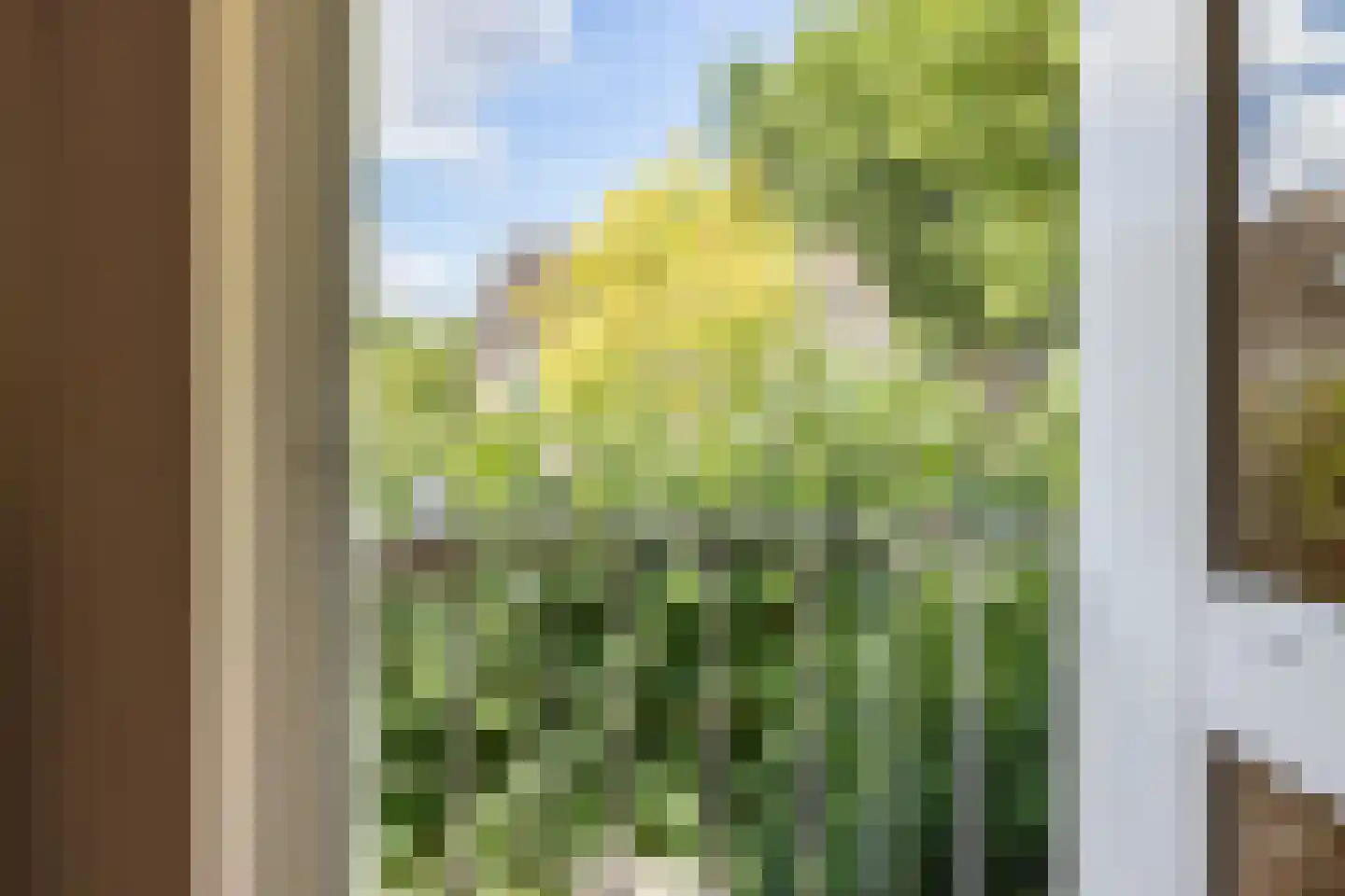 Denethor 16 Geldrop thumbnail 47