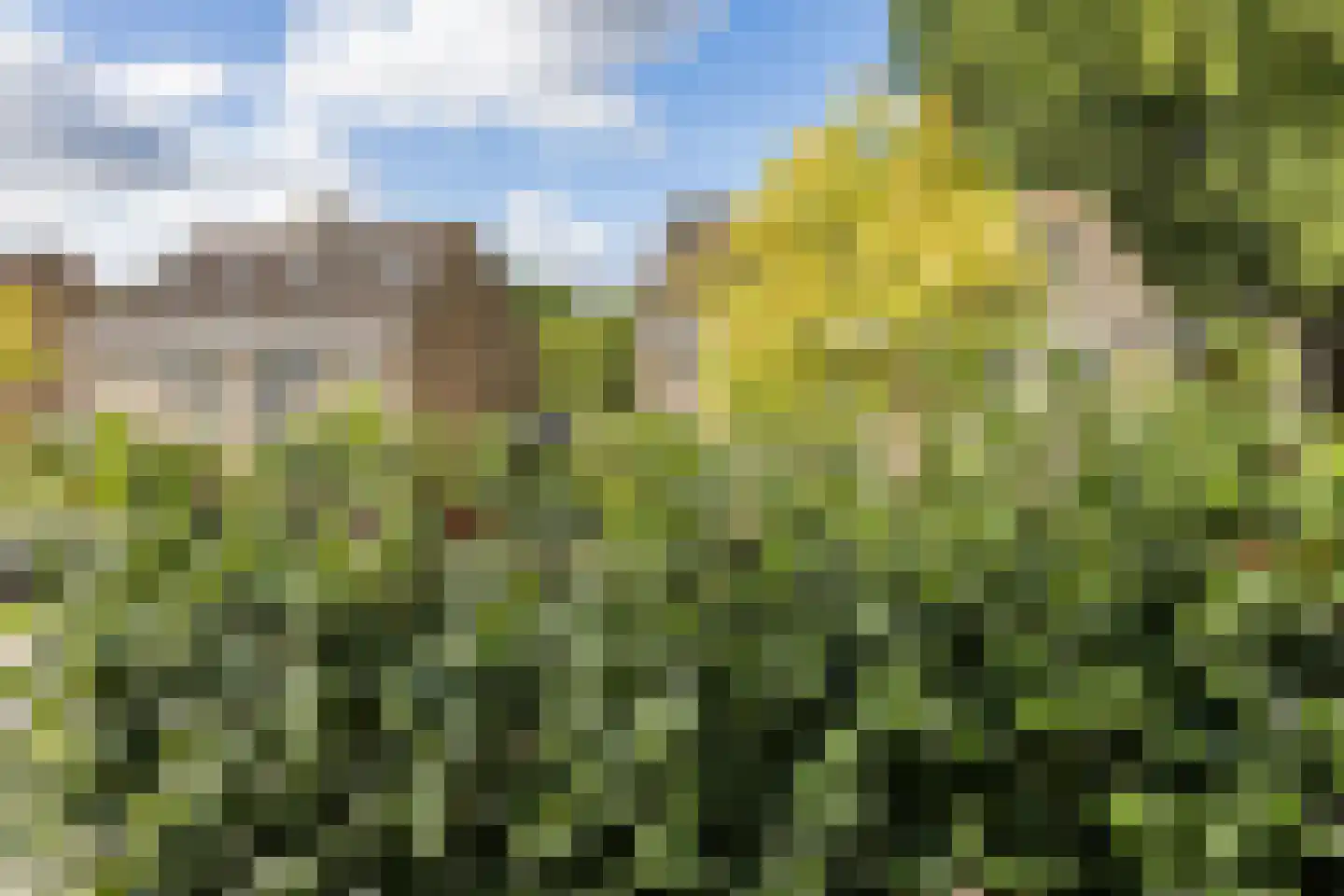 Denethor 16 Geldrop thumbnail 48
