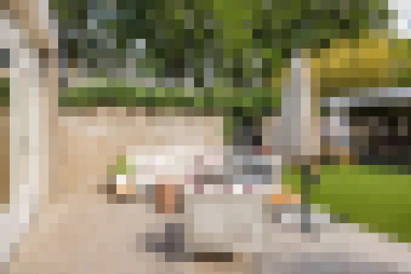 Denethor 16 Geldrop thumbnail 51
