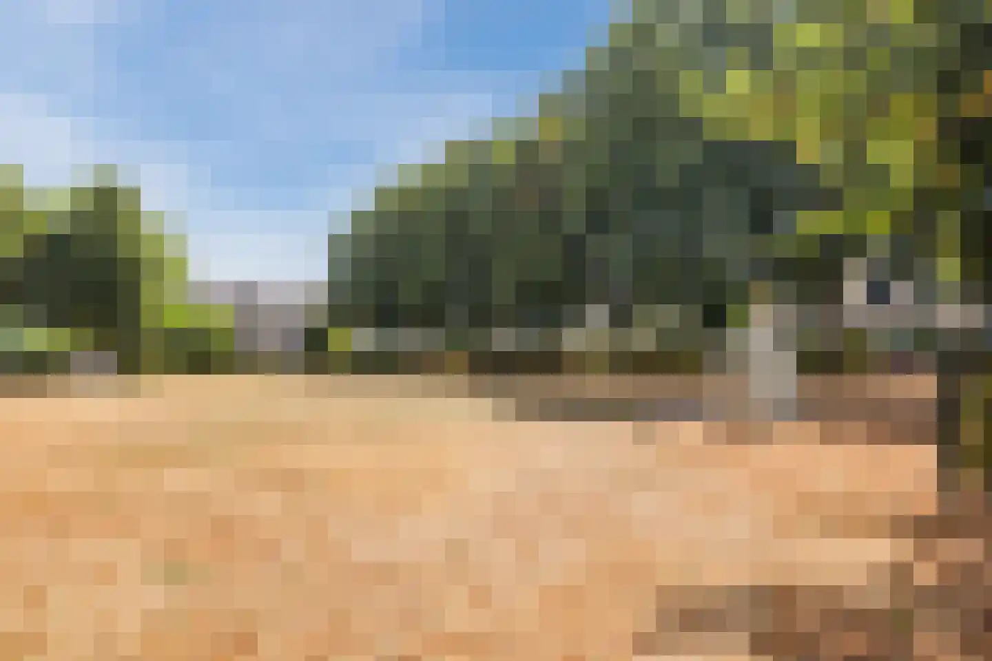 Denethor 16 Geldrop thumbnail 61