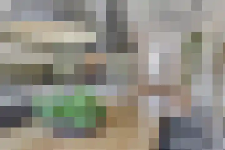 Denneappel 4 Ruurlo thumbnail 19