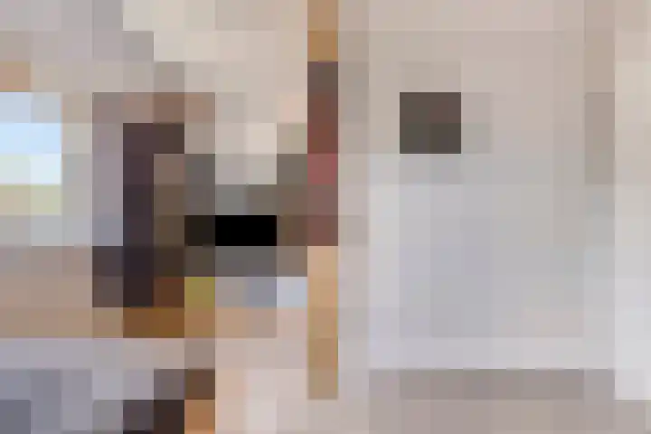 Denneappel 4 Ruurlo thumbnail 33