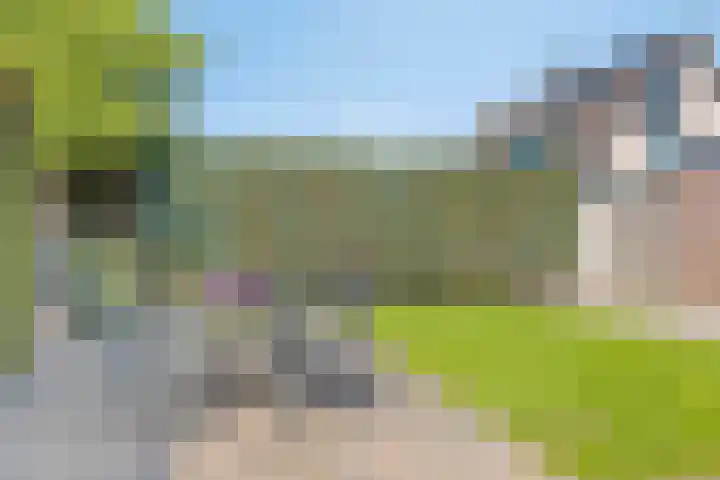 Denneappel 4 Ruurlo thumbnail 36