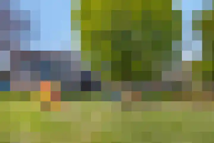 Denneappel 4 Ruurlo thumbnail 40
