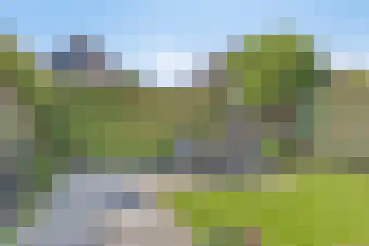 Denneappel 4 Ruurlo thumbnail 6