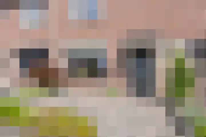 Dennehoutstraat 13 Helmond thumbnail 10