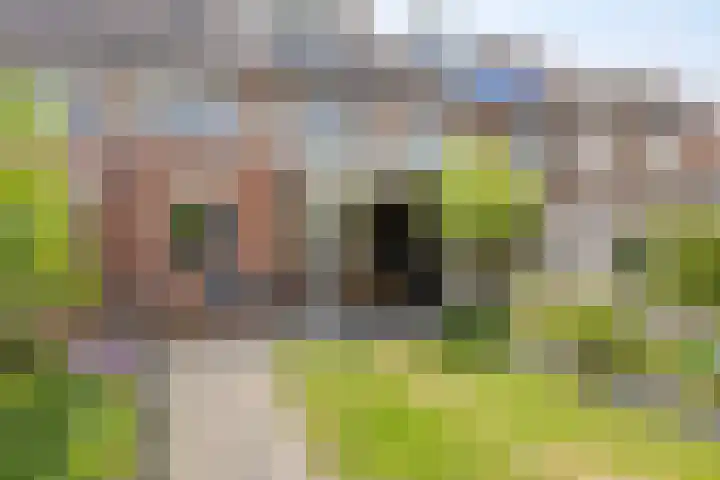 Dennehoutstraat 13 Helmond thumbnail 6