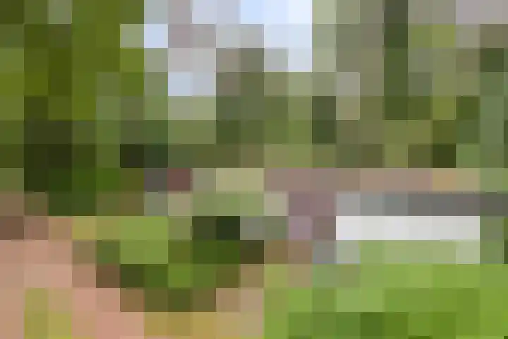 Dennekamp 4 Alteveer thumbnail 11