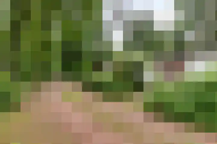 Dennekamp 4 Alteveer thumbnail 12