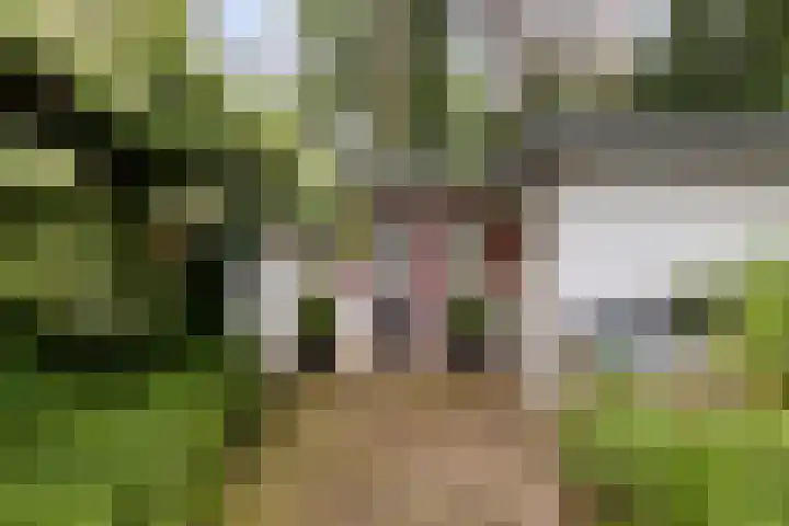 Dennekamp 4 Alteveer thumbnail 13