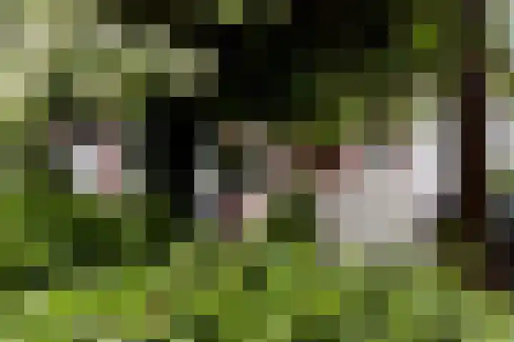 Dennekamp 4 Alteveer thumbnail 14