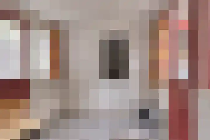 Dennekamp 4 Alteveer thumbnail 15