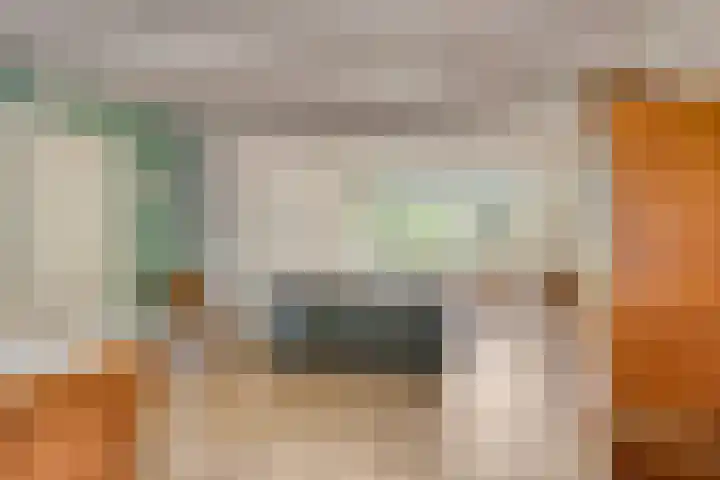 Dennekamp 4 Alteveer thumbnail 20