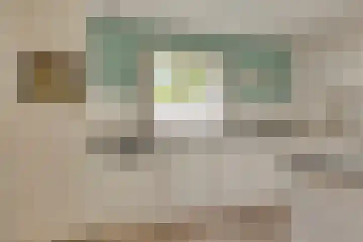 Dennekamp 4 Alteveer thumbnail 21