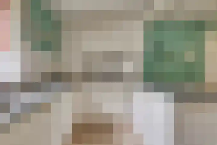 Dennekamp 4 Alteveer thumbnail 22
