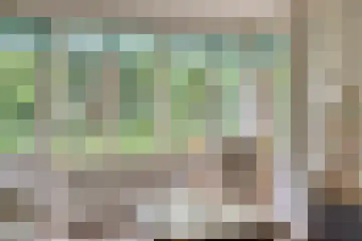 Dennekamp 4 Alteveer thumbnail 23
