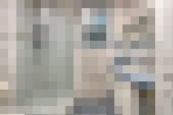 Dennekamp 4 Alteveer thumbnail 25