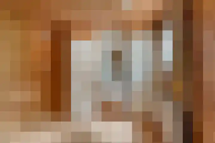Dennekamp 4 Alteveer thumbnail 31