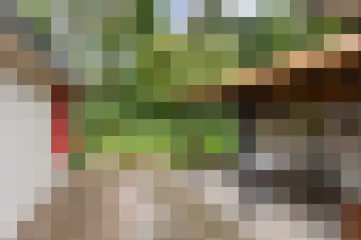 Dennekamp 4 Alteveer thumbnail 33