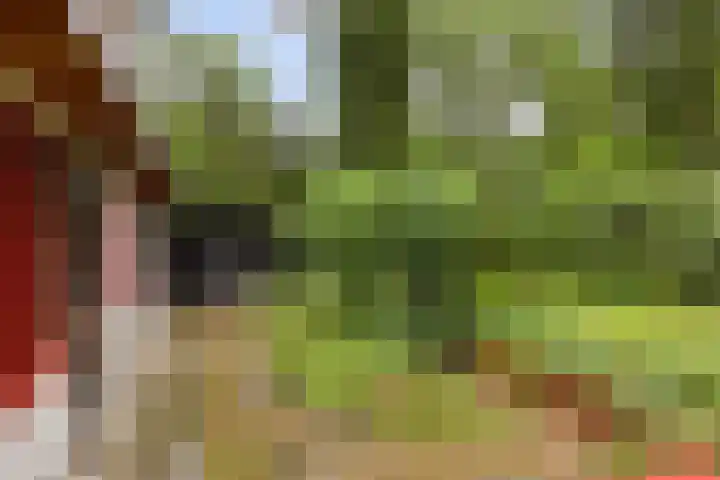 Dennekamp 4 Alteveer thumbnail 34