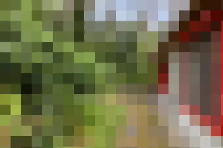 Dennekamp 4 Alteveer thumbnail 35