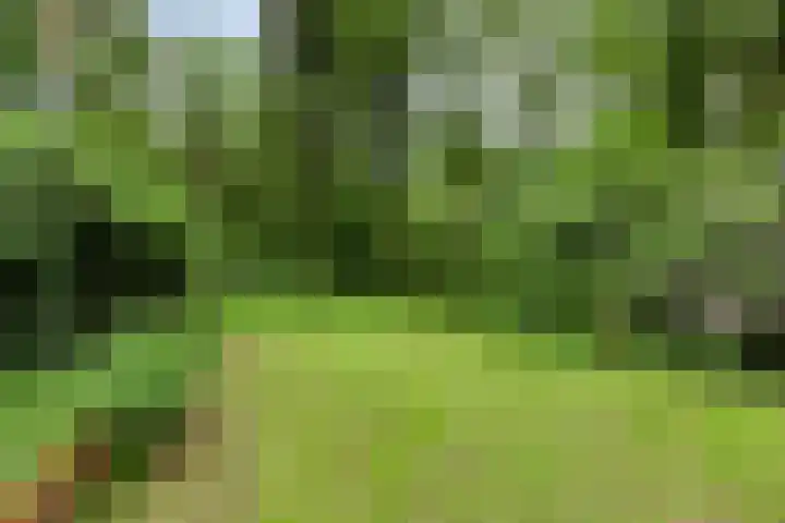 Dennekamp 4 Alteveer thumbnail 38