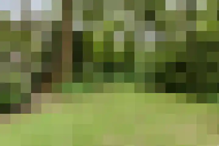 Dennekamp 4 Alteveer thumbnail 39