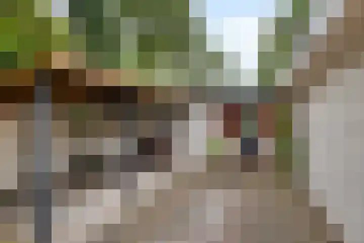 Dennekamp 4 Alteveer thumbnail 4