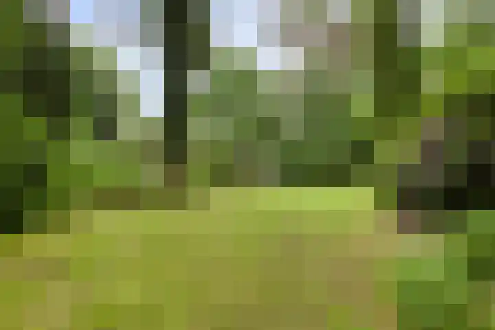 Dennekamp 4 Alteveer thumbnail 40