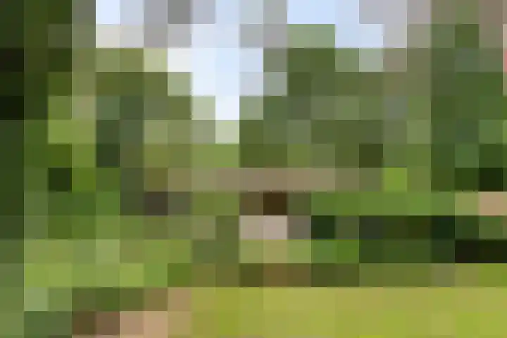 Dennekamp 4 Alteveer thumbnail 41
