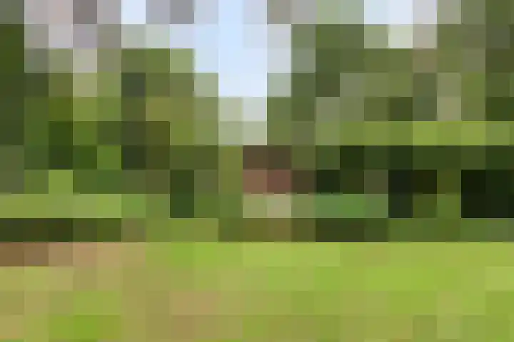 Dennekamp 4 Alteveer thumbnail 42