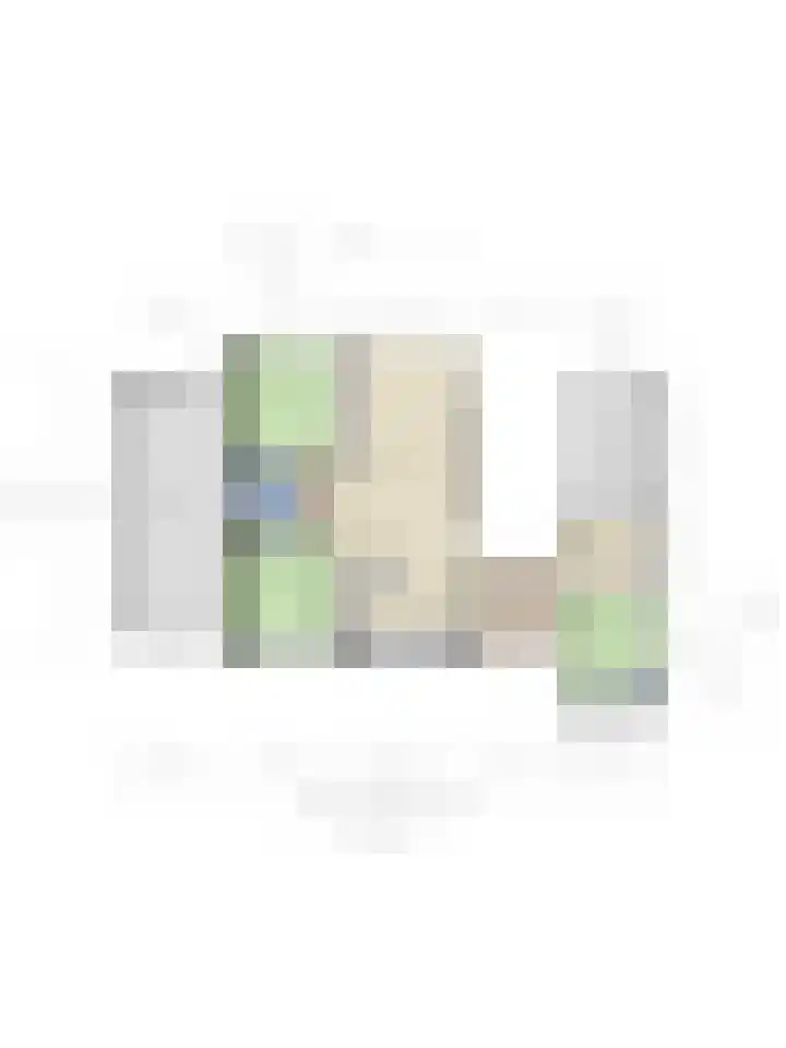Dennekamp 4 Alteveer thumbnail 43