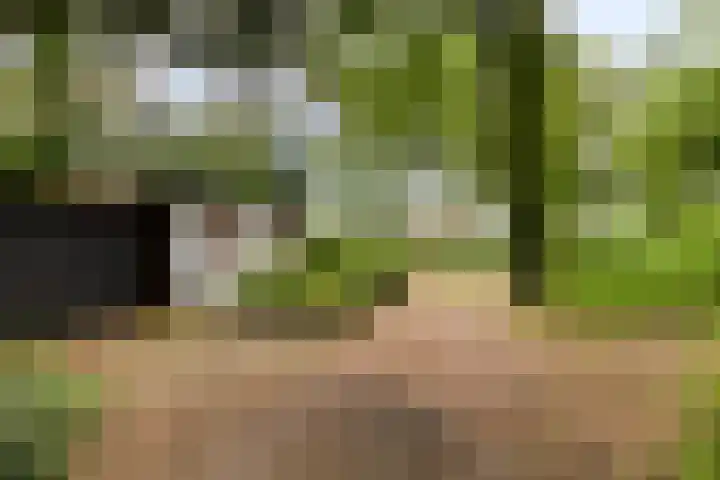 Dennekamp 4 Alteveer thumbnail 5