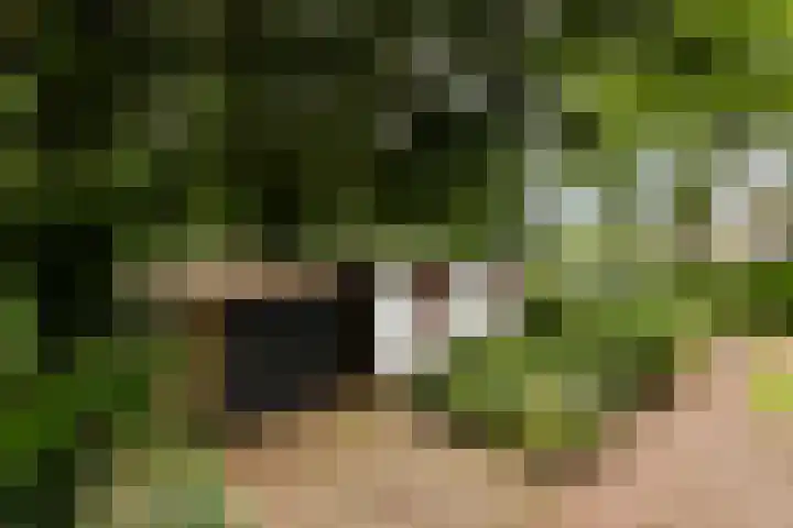 Dennekamp 4 Alteveer thumbnail 6