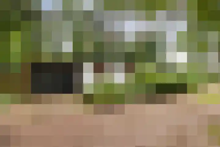 Dennekamp 4 Alteveer thumbnail 7