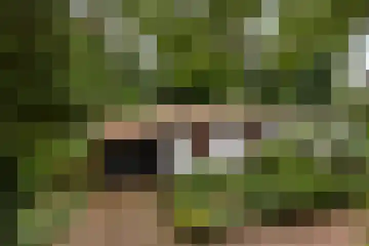 Dennekamp 4 Alteveer thumbnail 8