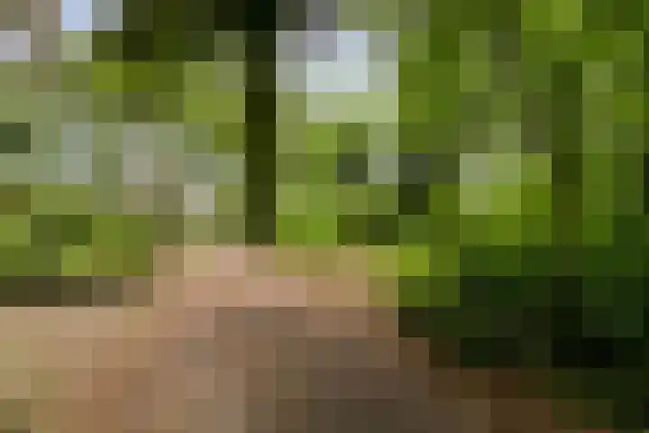 Dennekamp 4 Alteveer thumbnail 9