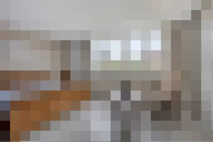 Dennekampke 11 's-Hertogenbosch thumbnail 20