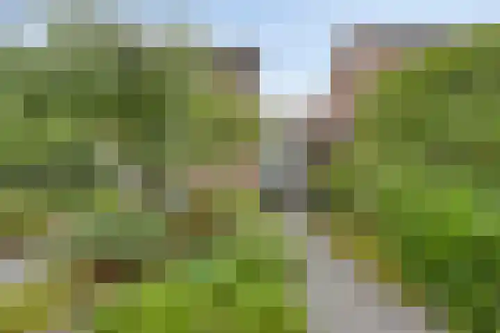 Dennekampke 11 's-Hertogenbosch thumbnail 31
