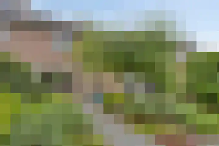 Dennekampke 11 's-Hertogenbosch thumbnail 32