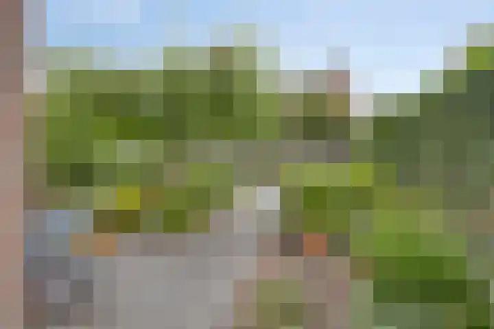 Dennekampke 11 's-Hertogenbosch thumbnail 34