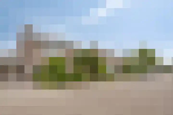 Dennekampke 11 's-Hertogenbosch thumbnail 4