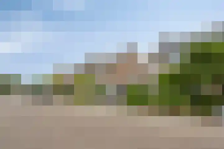 Dennekampke 11 's-Hertogenbosch thumbnail 5