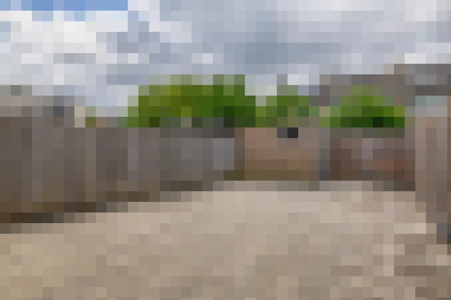 Dennekruid 100 Rotterdam thumbnail 27