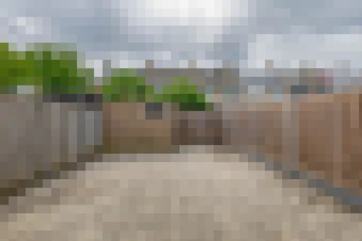 Dennekruid 100 Rotterdam thumbnail 28