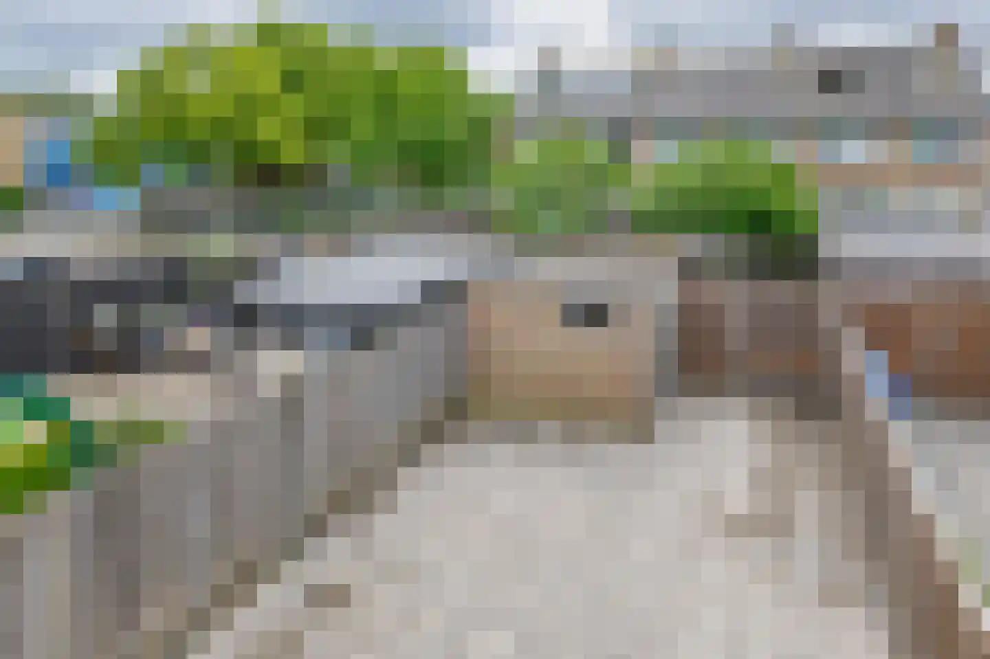 Dennekruid 100 Rotterdam thumbnail 29